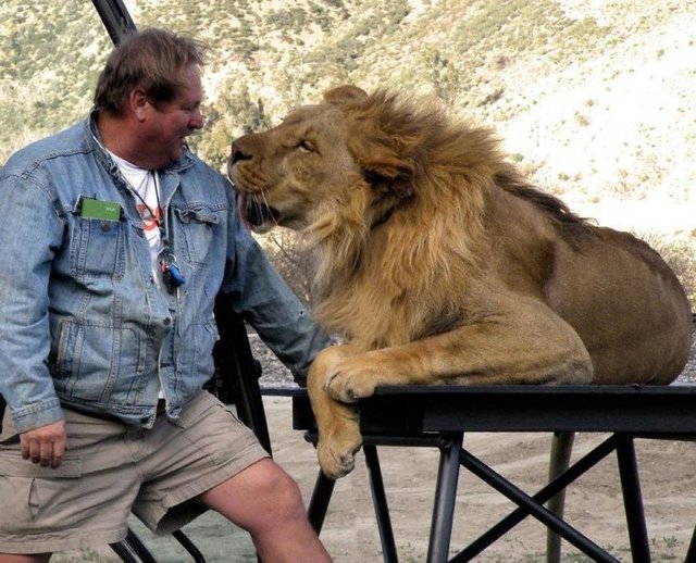 Hollywood Animal Trainer Is Banned From Training Animals For Films