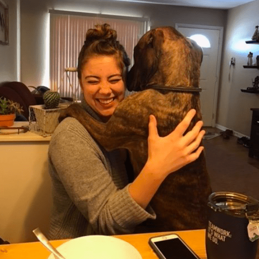 Dogs Respond Better To Baby Talk, Study Finds The Dodo