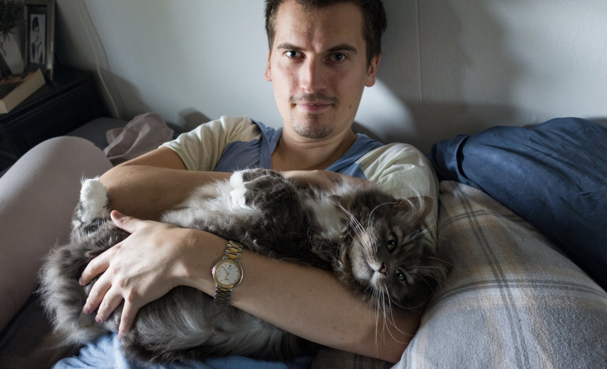 Cat Teaches New Baby Sister How Great It Is To Be Held The Dodo