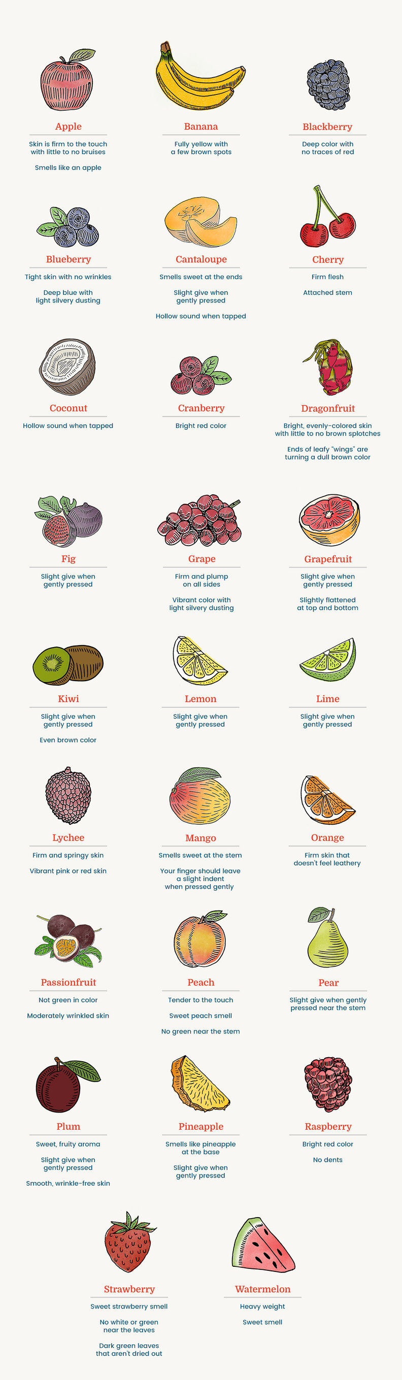 How To Tell When Fresh Fruit is Ripe Infographic Thrillist
