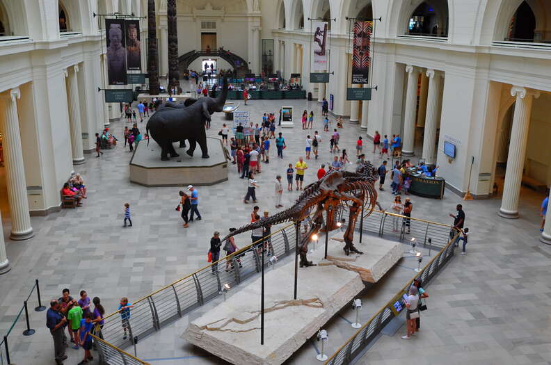 Best Museums in Chicago Art, History, and Exhibits Worth Visiting Thrillist