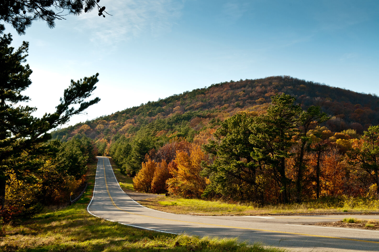 Most Scenic Drives in Every US State Beautiful Road Trips to Take