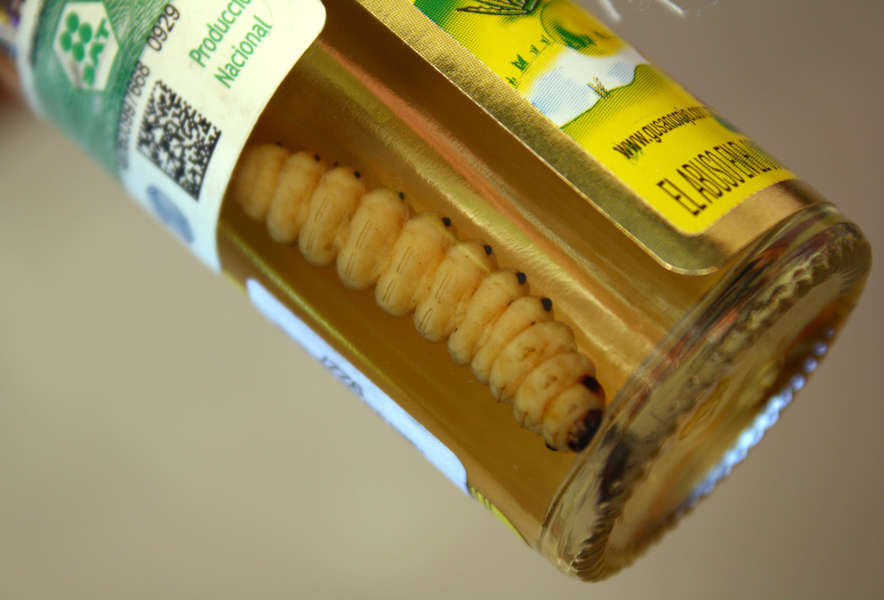 Why Is There a Worm in Tequila? Thrillist