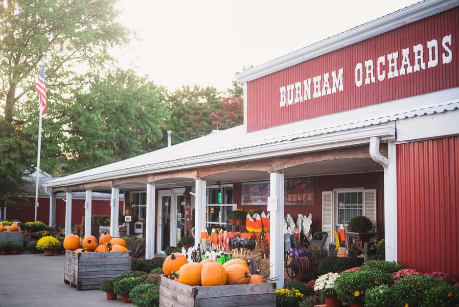 Best Pumpkin Patches in Ohio Places to Go Pumpkin Picking & More