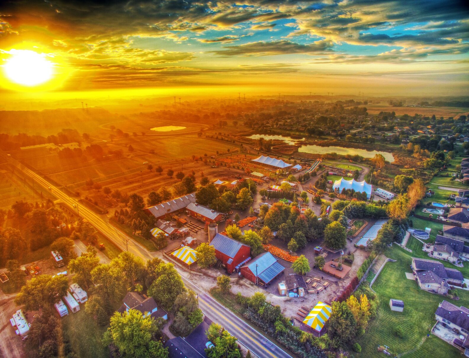 Best Pumpkin Patches Near Chicago Where to Go Pumpkin Picking This