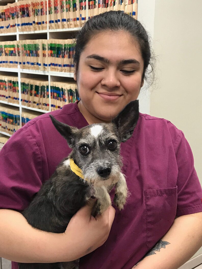 Caged Dogs Left Out With Trash In Front Of California Home The Dodo