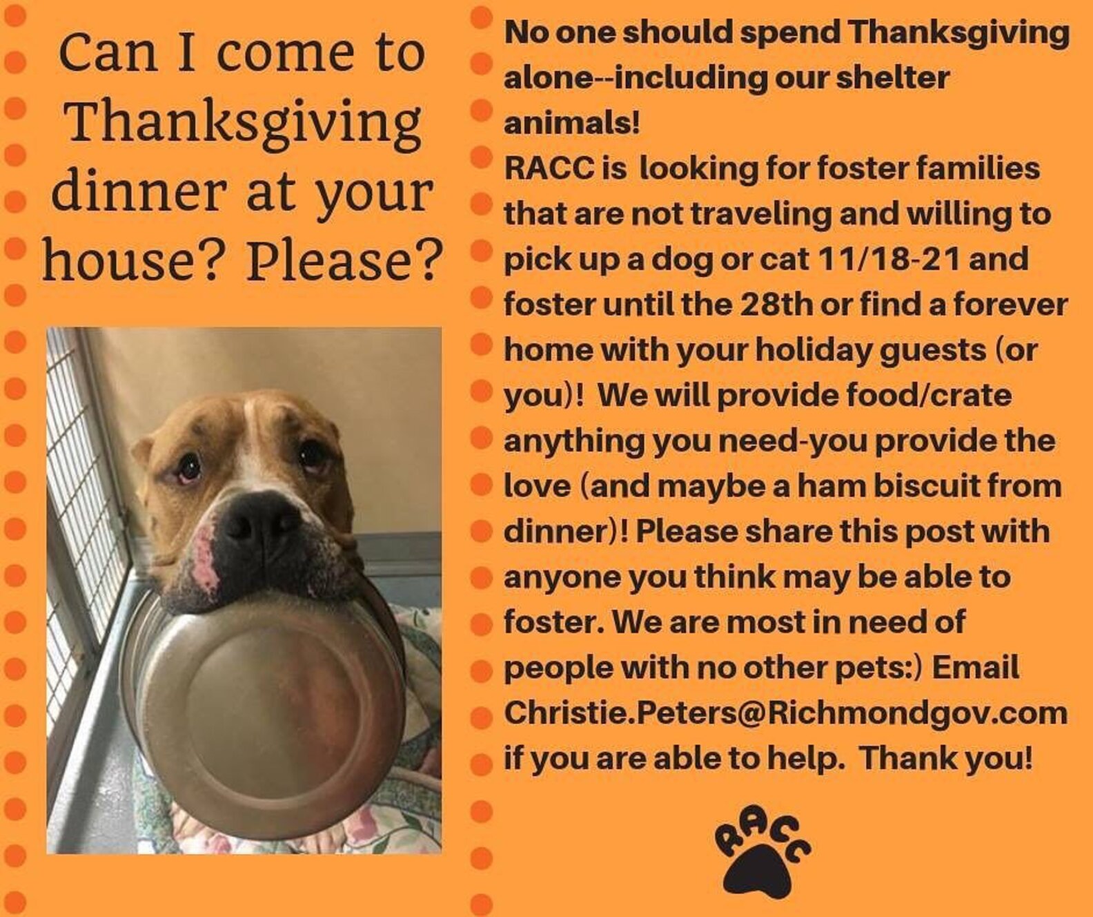Shelter Wants Families To Invite Homeless Pets To Thanksgiving Dinner
