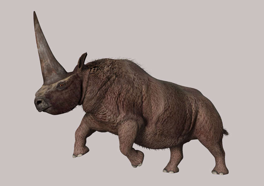 Unicorns Were Real and Killed By Climate Change