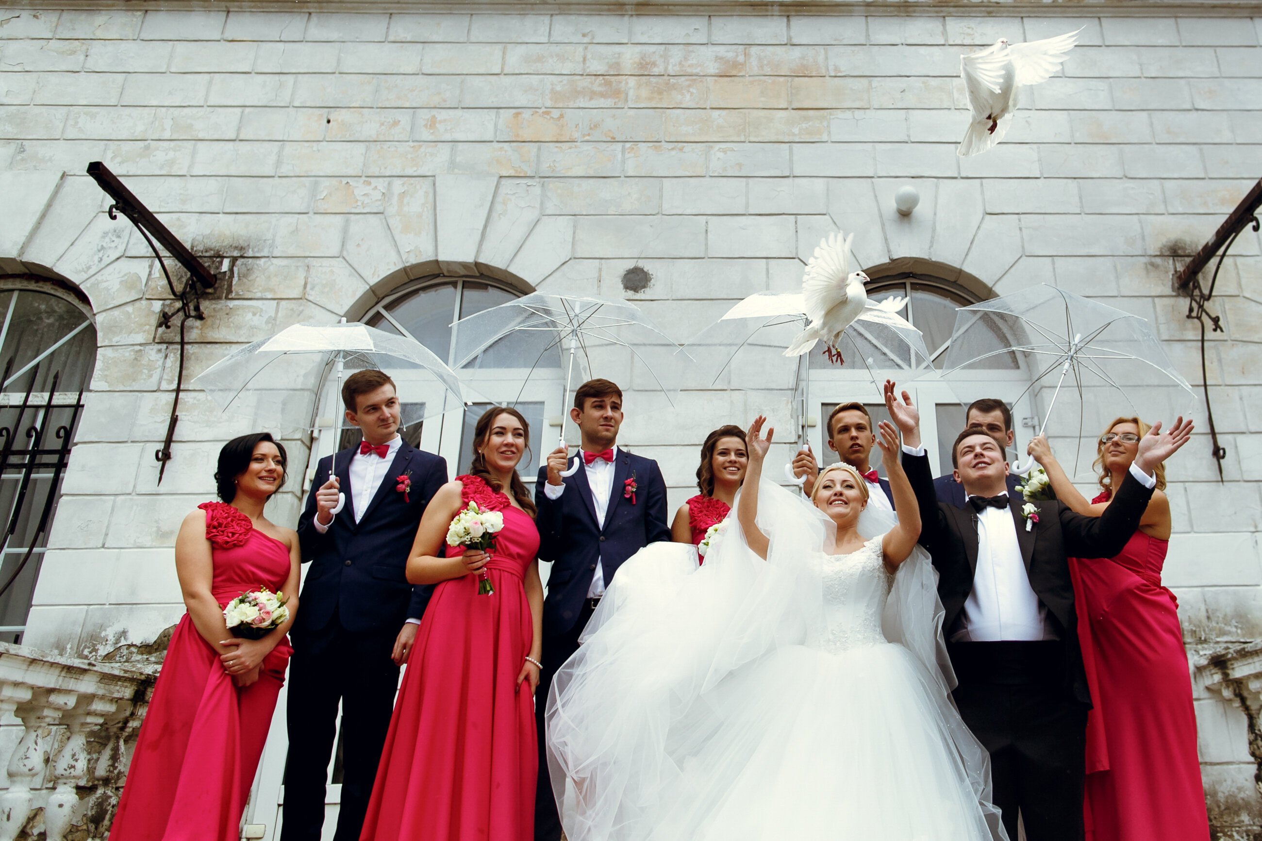 The Sad Truth About Where 'Wedding Doves' Can End Up After Flying Away