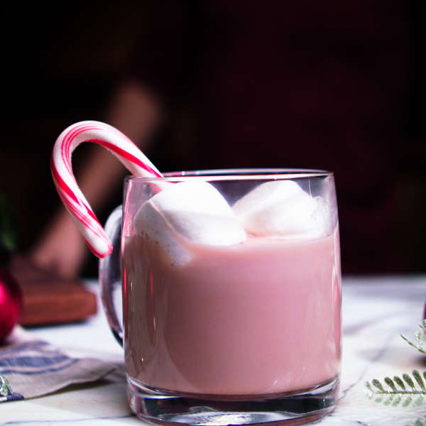 Best Boozy Hot Chocolate Recipe Peppermint Schnapps, Green Chartreuse