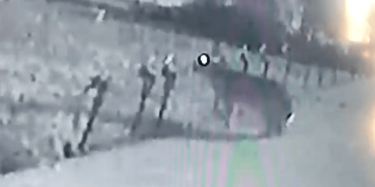 Louisiana Family Spots Wild Rabbit Chewing Their Christmas Lights The