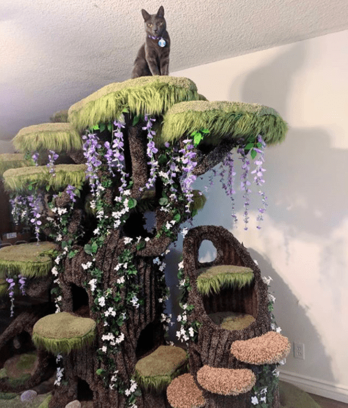 Family Of Cats Gets The Most Beautiful Cat Tree In The