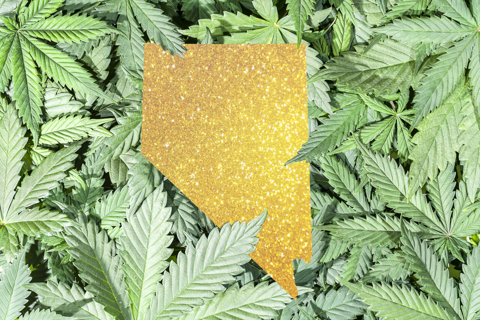 Marijuana Dispensaries in Las Vegas & Nevada to Buy Legal Weed Thrillist