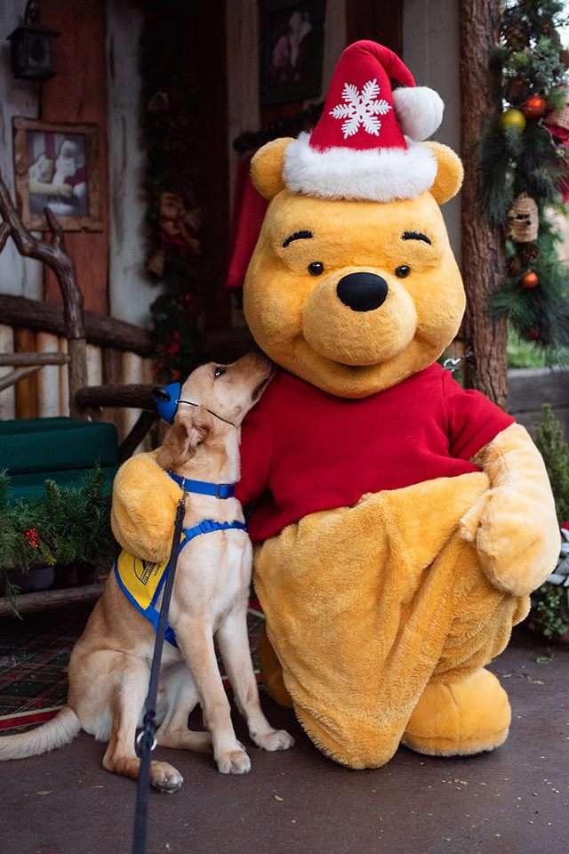 Adorable Dog Visits Disneyland And Meets All His Favorite Characters
