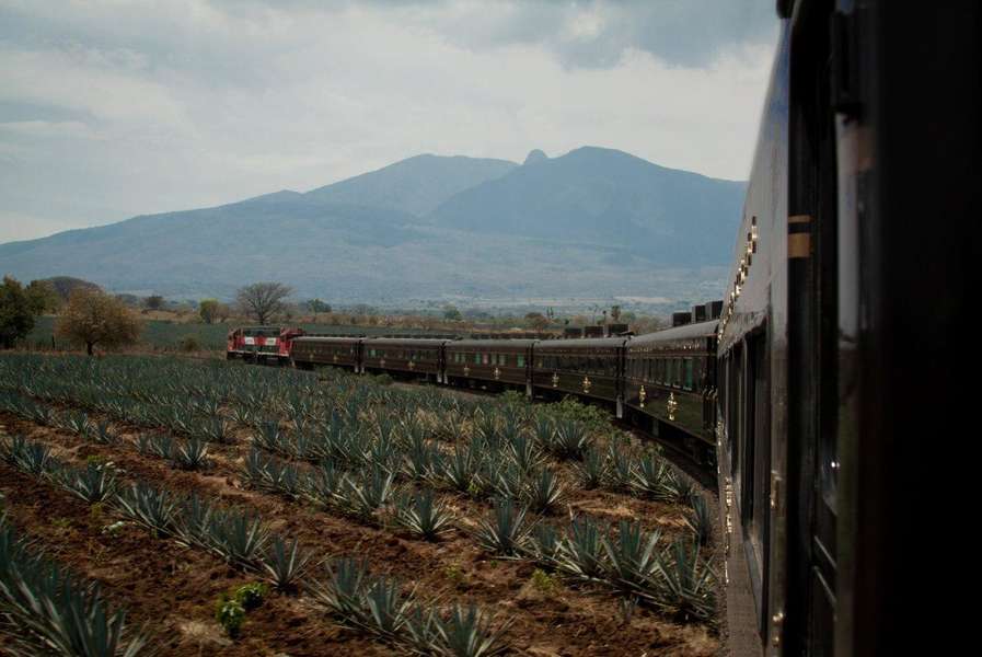 Jose Cuervo Express The New AllYouCanDrink Tequila Train in Mexico