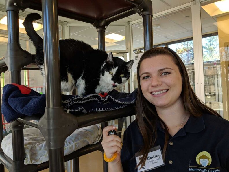 Senior Cat Learns How To Give High Fives The Dodo