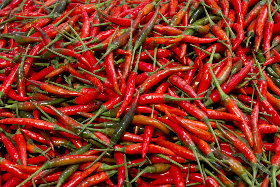 Types of Peppers, Explained Heat Levels of Different Chili Peppers
