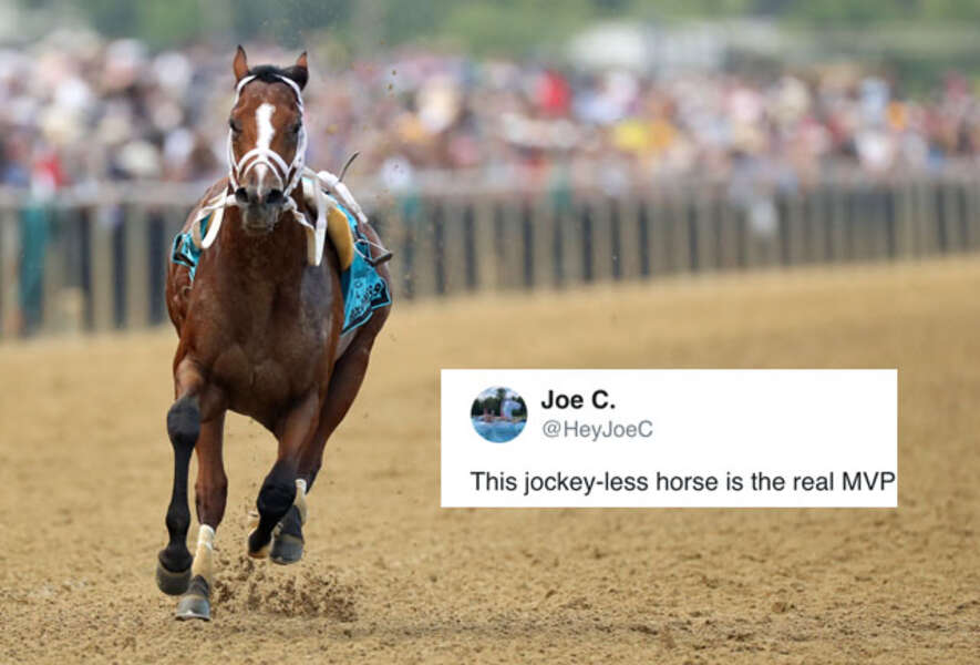 Bodexpress Meme Horse Runs Race Without Jockey & Twitter Went Wild