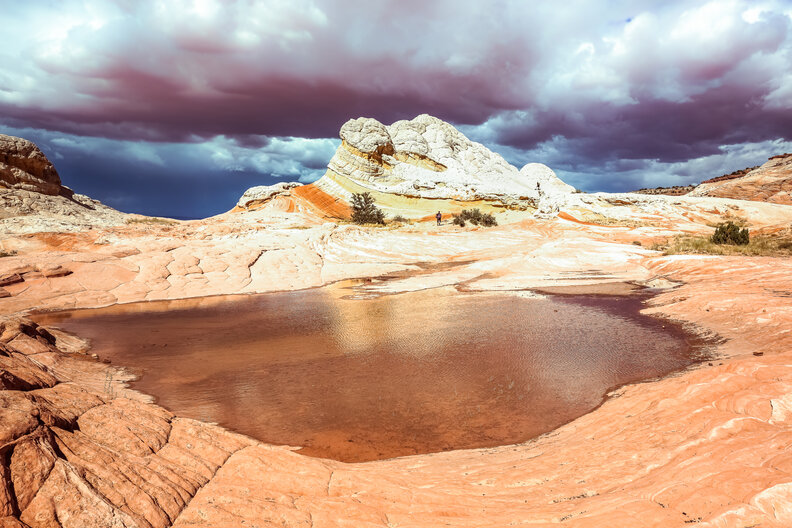 Vermilion Cliffs National Monument Guide The Wave, White Pocket & More