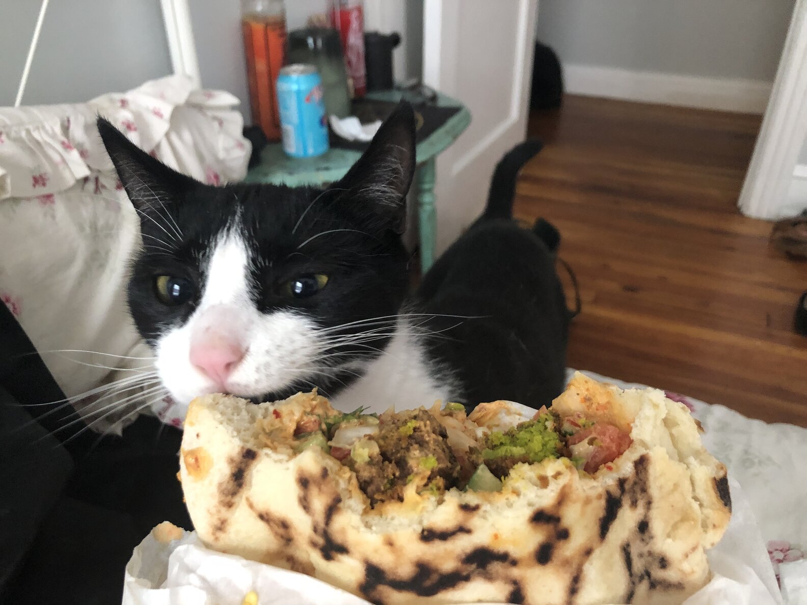 Cat Steals Entire Pack Of Tortillas The Dodo