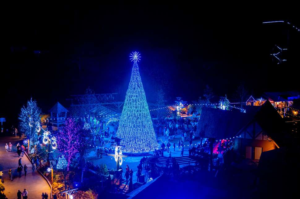 Best Amusement Parks Open in Winter Holiday Theme Parks