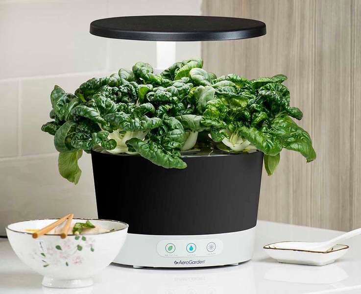 aerogarden bed bath and beyond