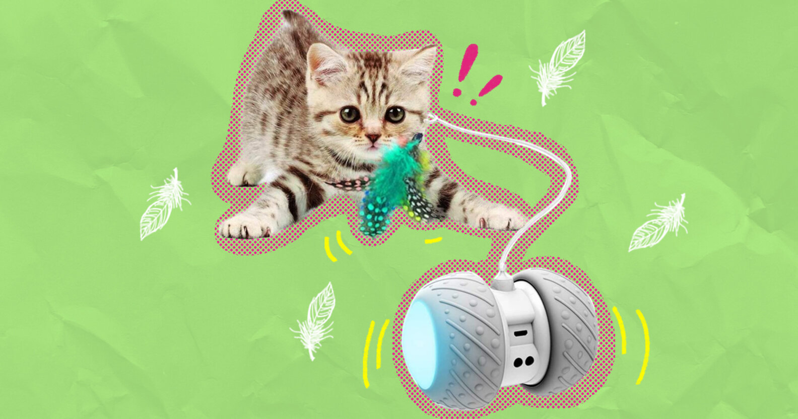The Best Feather Toys For Your Active Cat The Dodo