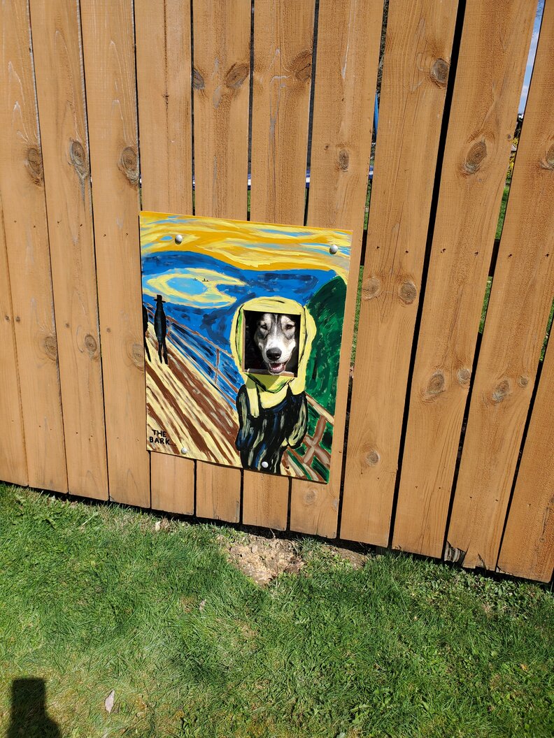Family Decorates Dog's Fence Window - The Dodo