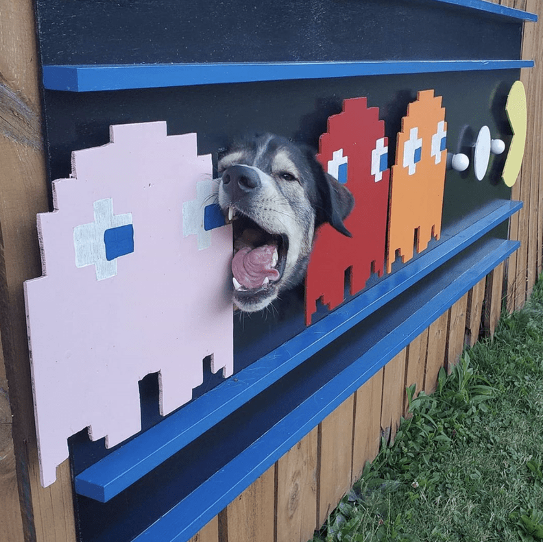 Family Decorates Dog's Fence Window - The Dodo