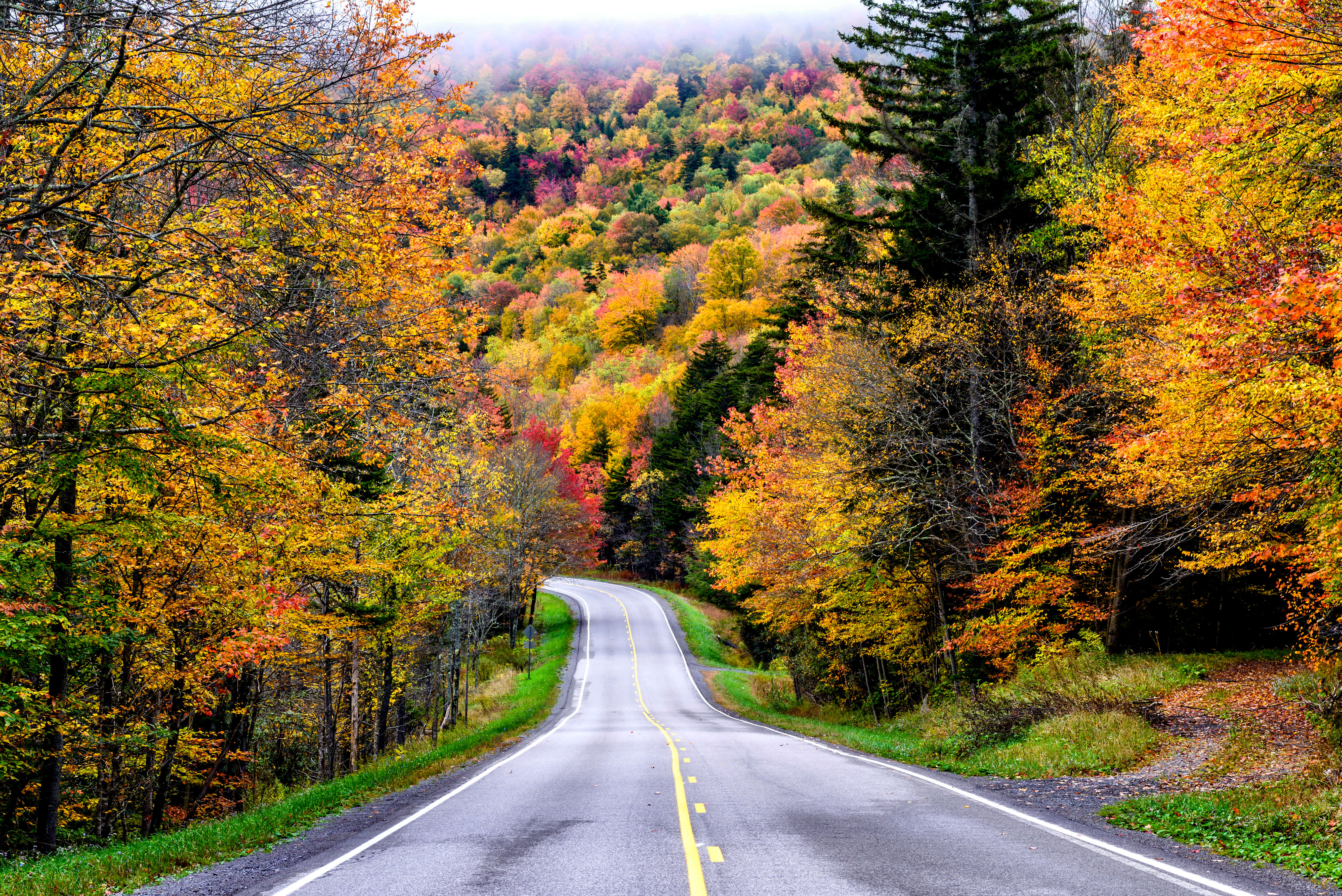 peak fall foliage washington dc 2023 Where To See Fall Foliage Near Washington, Dc - Thrillist