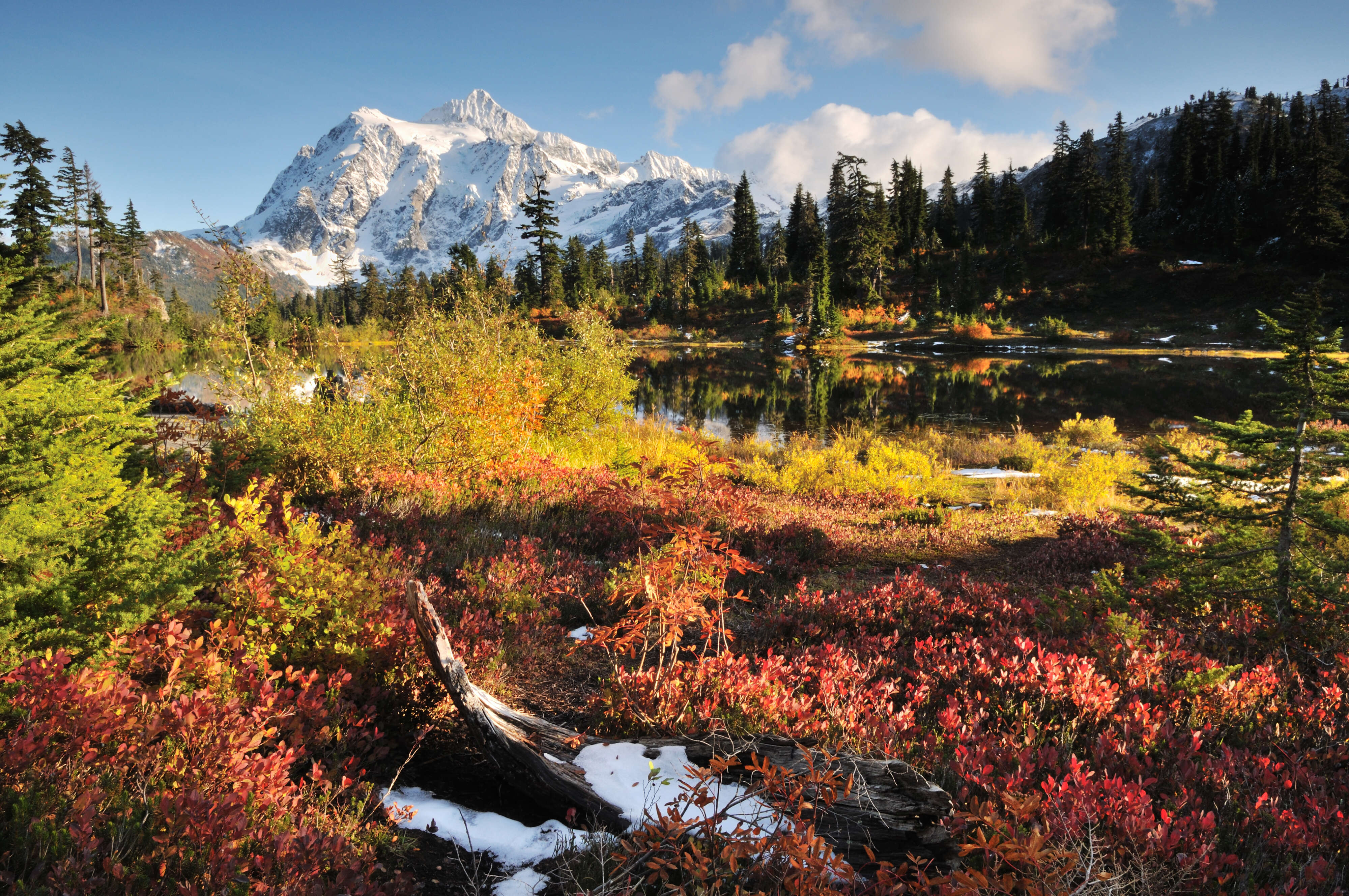 fall foliage washington state 2023 Best Places To See Fall Foliage Near Seattle - Thrillist