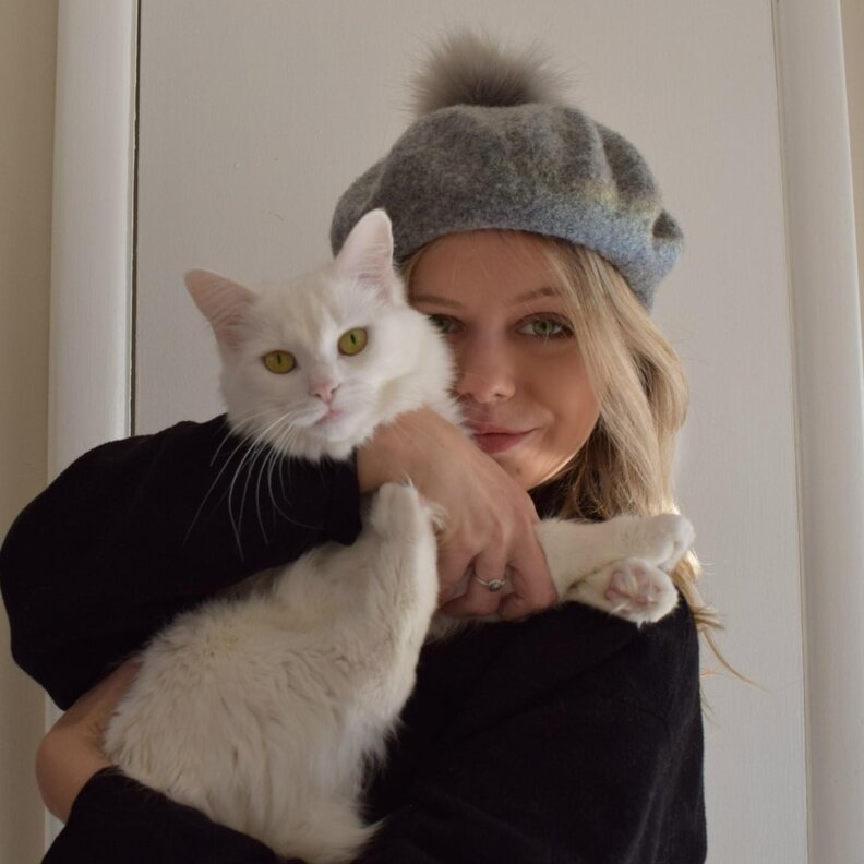 Cat How To Use Litter Box The Dodo