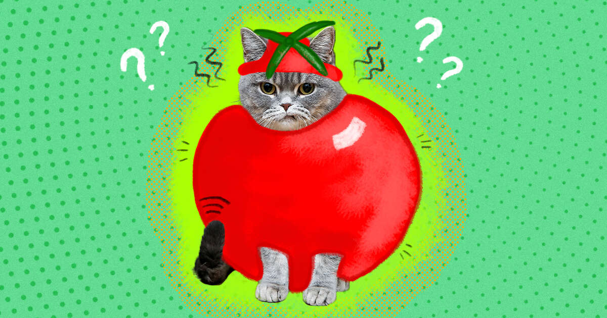 Is It Cruel To Dress Up Your Dog