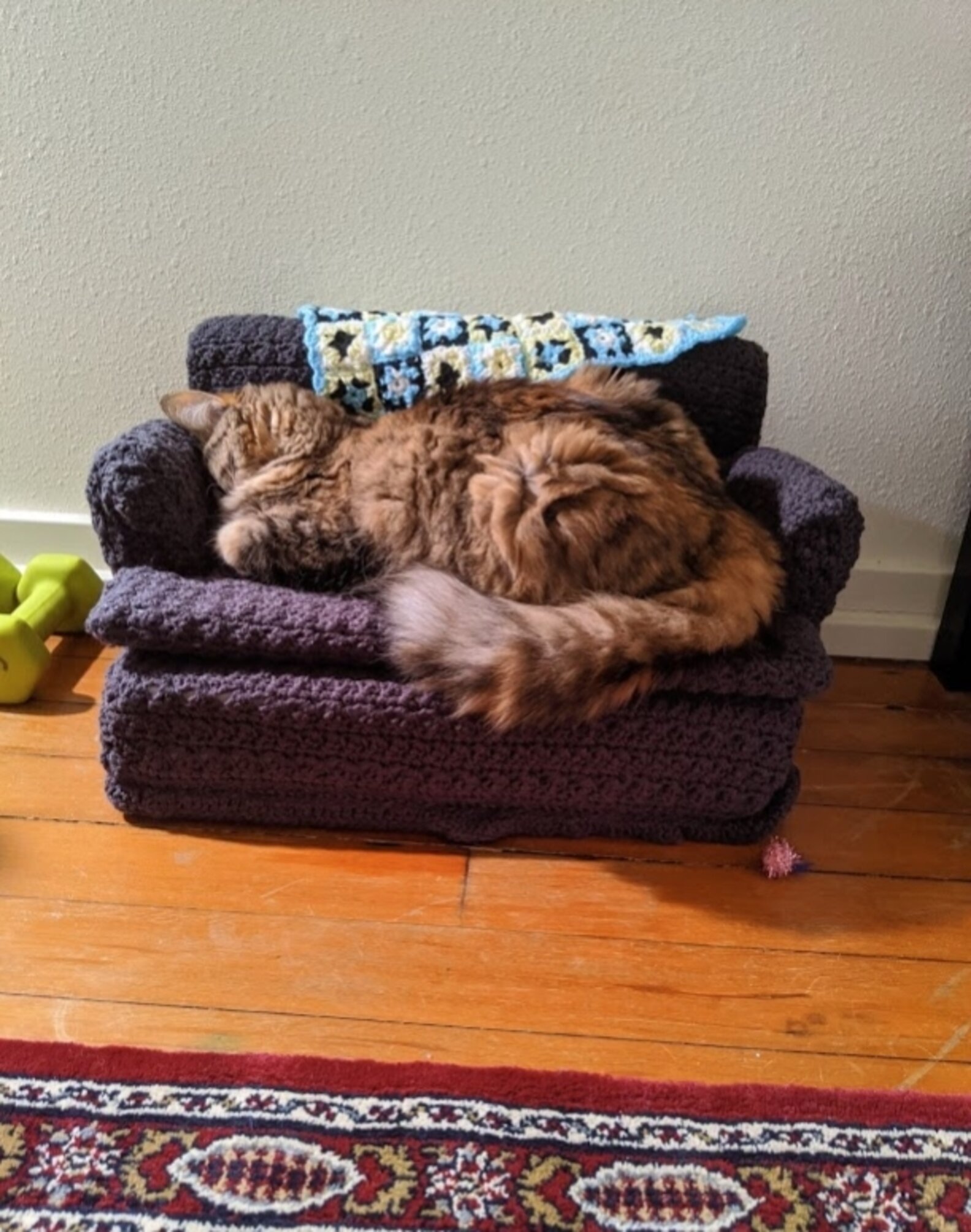 Grandma Crochets the Most Adorable Tiny Couch for Cat ) Healthy