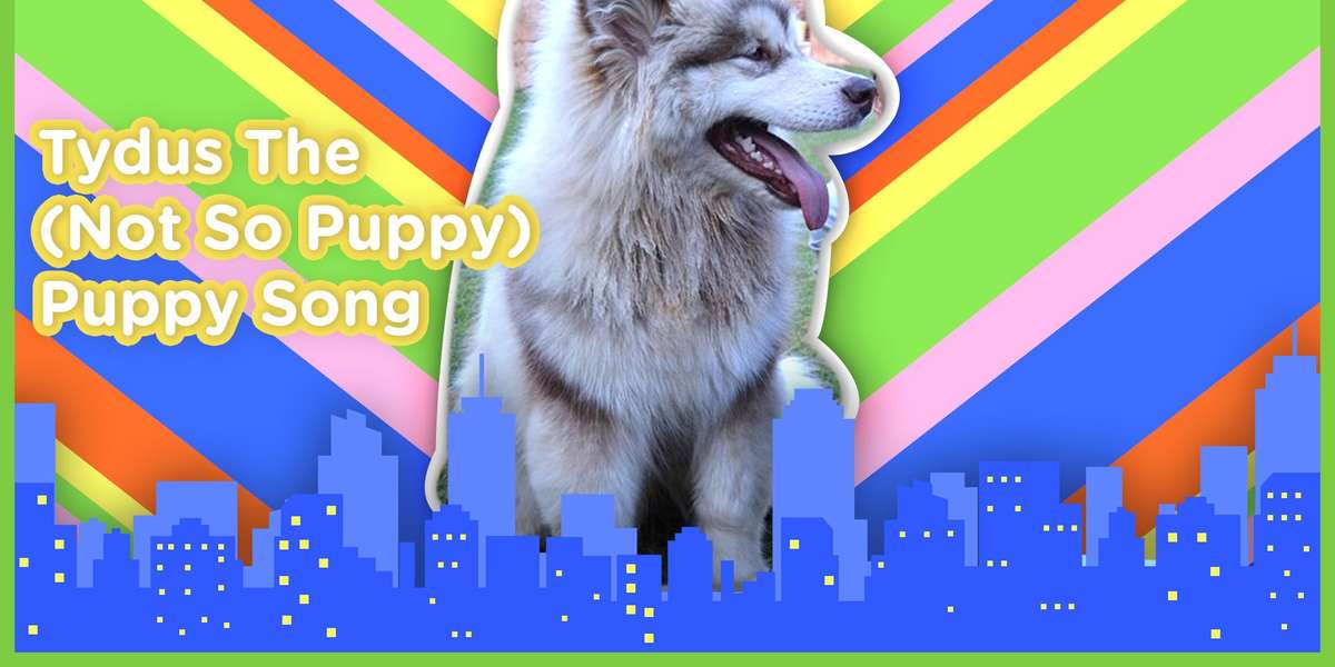 “Tydus (The Not So Puppy) Puppy” Song Videos The Dodo