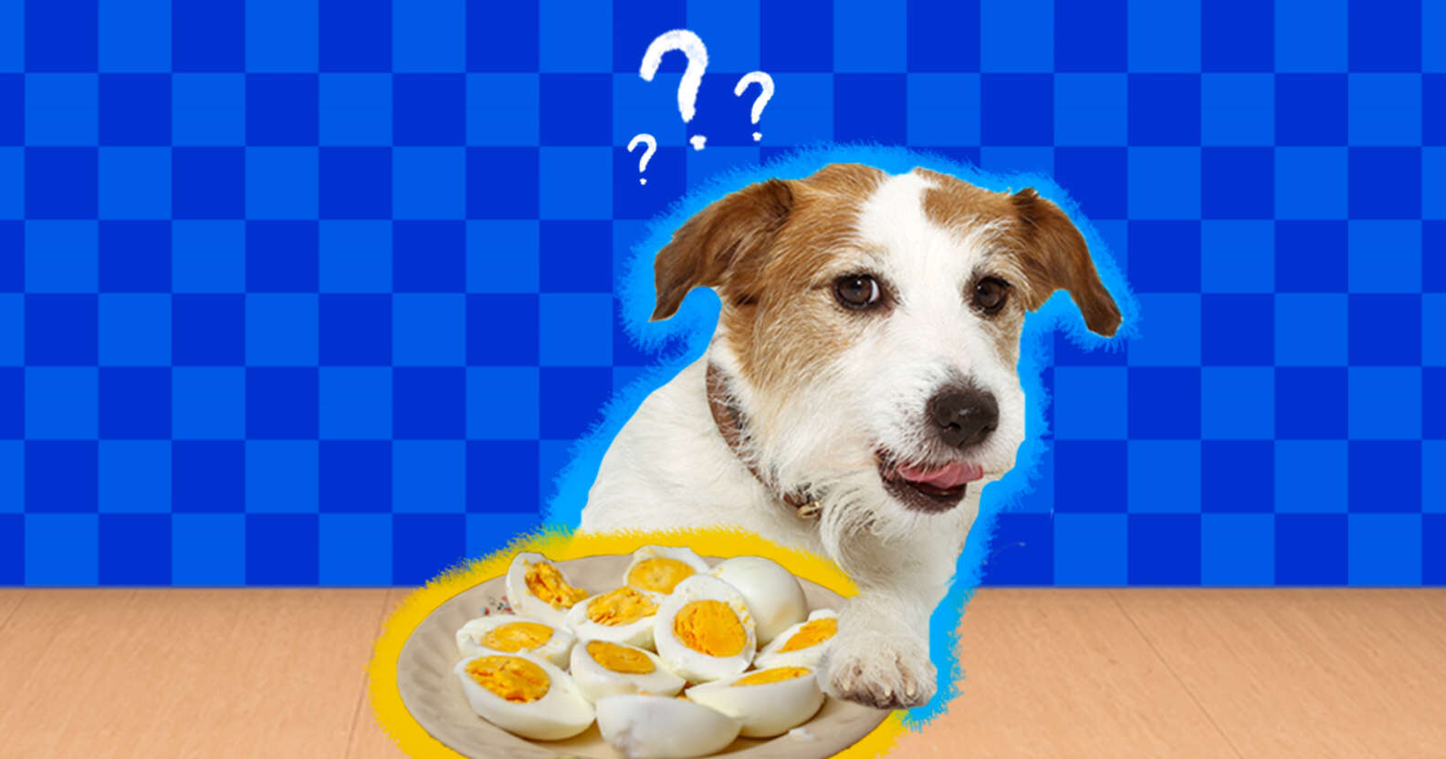 Can Dogs Eat Eggs? And How Many Is OK? A Vet Explains DodoWell The Dodo