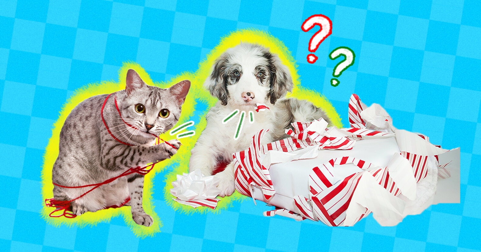 Is Wrapping Paper Safe For Dogs And Cats? What To Know From A Vet