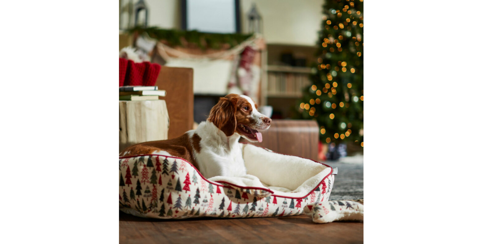 Christmas Pet Beds Are A Real Thing You Can Get Your Dog Or Cat