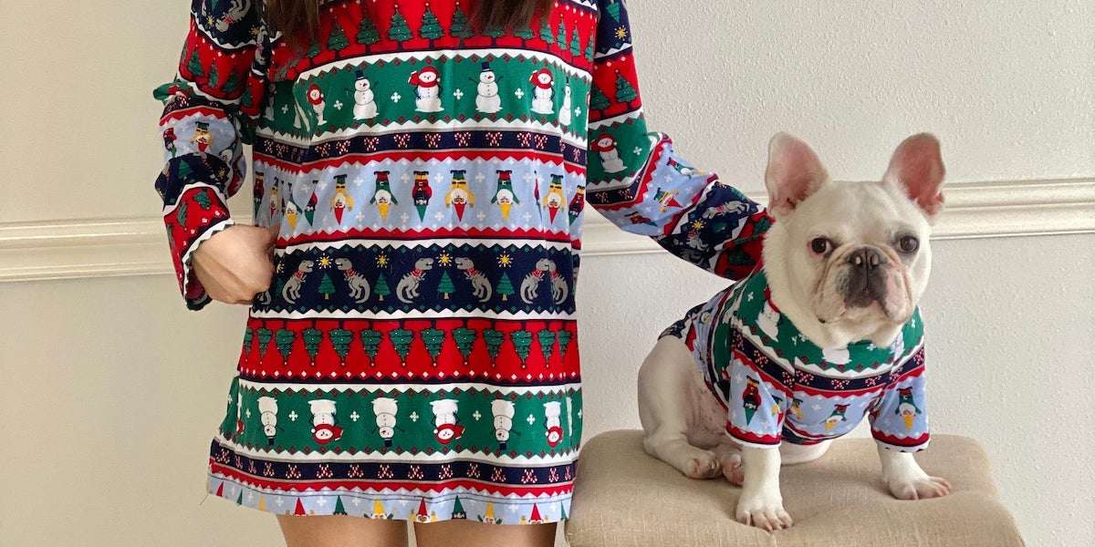 Matching Dog Christmas Sweaters For You And Your Pup DodoWell The Dodo