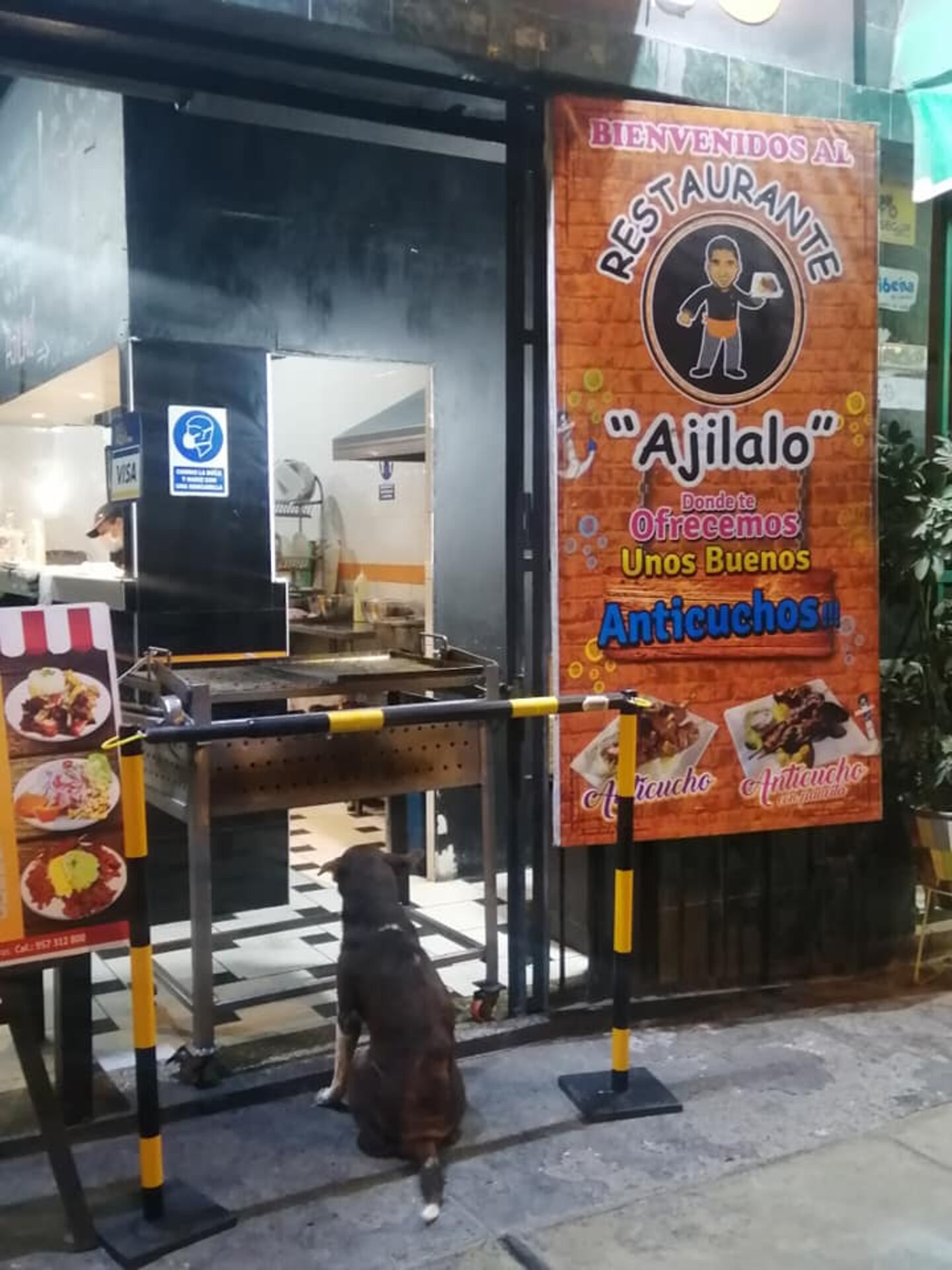 Restaurant Owner Prepares A Free Meal For Every Stray Dog Who Visits