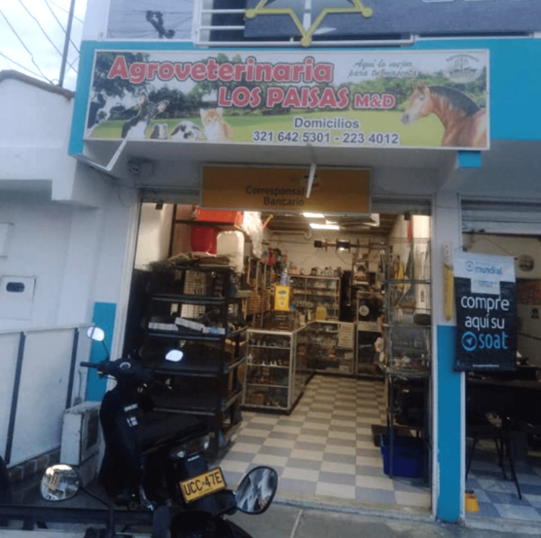 Clever Dog Sneaks Into Pet Store And Makes Off With A Giant Bone The Dodo