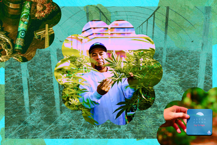 8 EcoFriendly Cannabis Brands to Support for Earth Day Thrillist