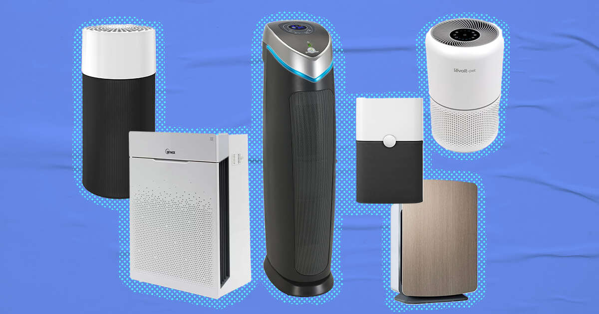 Are Air Purifiers Safe For Dogs