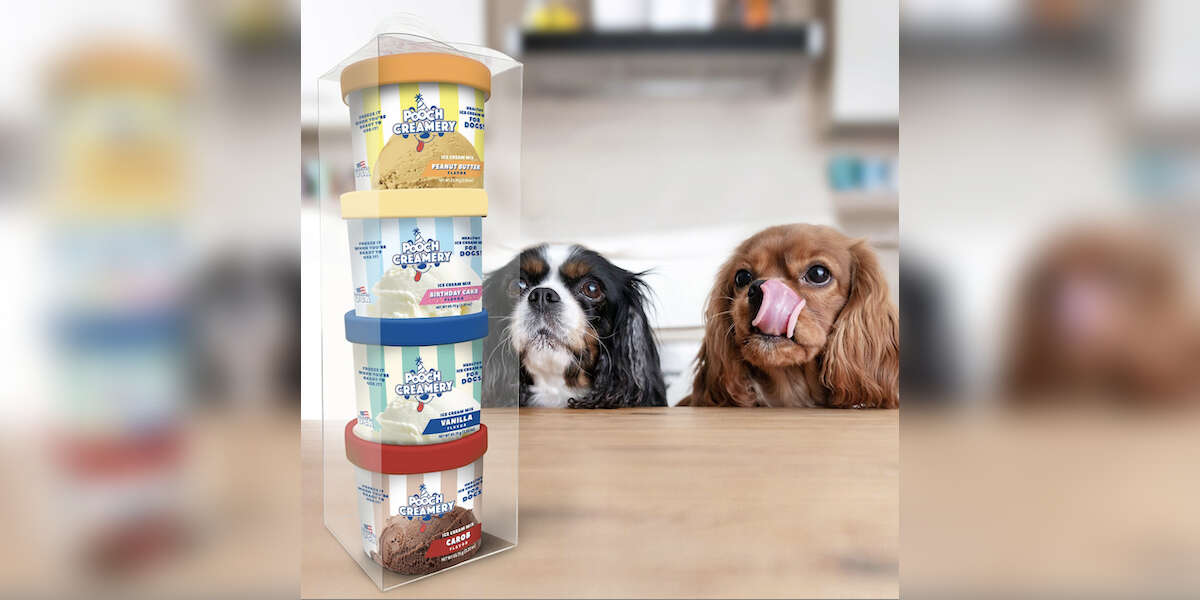 Ice Cream For Dogs Actually Exists DodoWell The Dodo