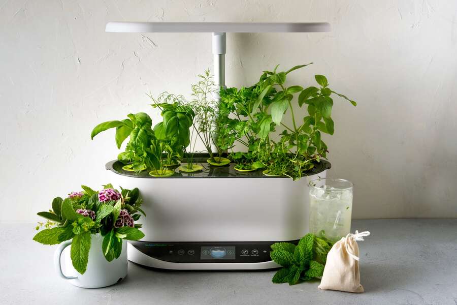 AeroGarden Summer Sale Save 40 Off Indoor Gardens & Accessories