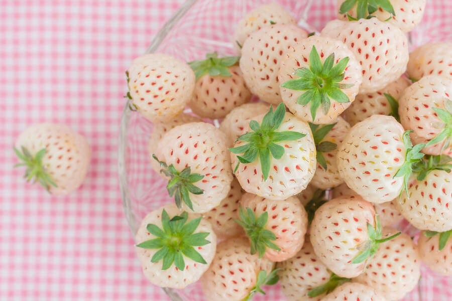 Hula Berries White Strawberries That Actually Taste like Pineapples