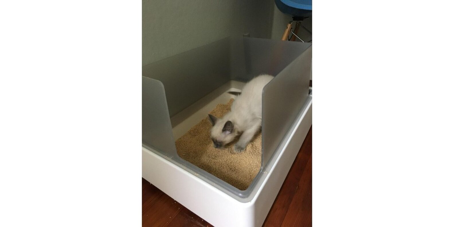 tuft + paw Cove Litter Box Review Paw of Approval The Dodo