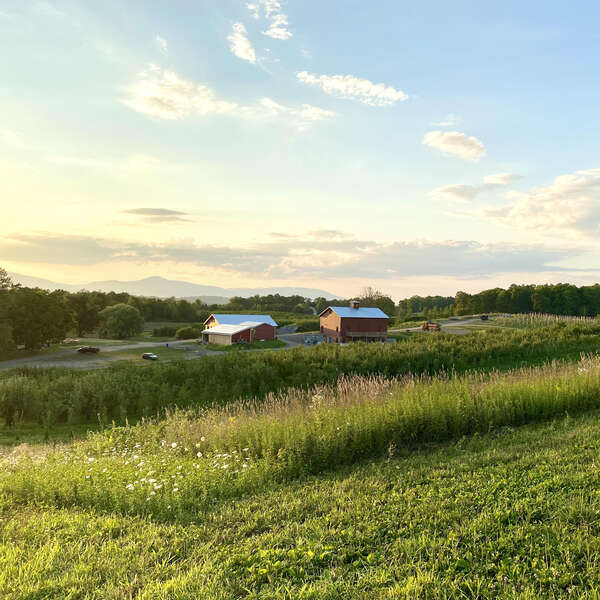 Fraleigh's Rose Hill Farm Red Hook, NY Thrillist