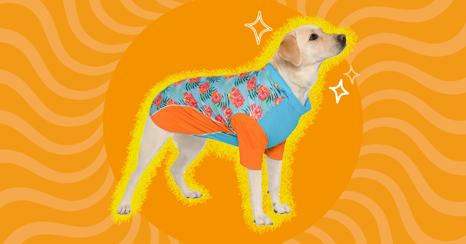 Dog Sun Shirt The Best 6 Options To Protect Your Pup From UV Rays