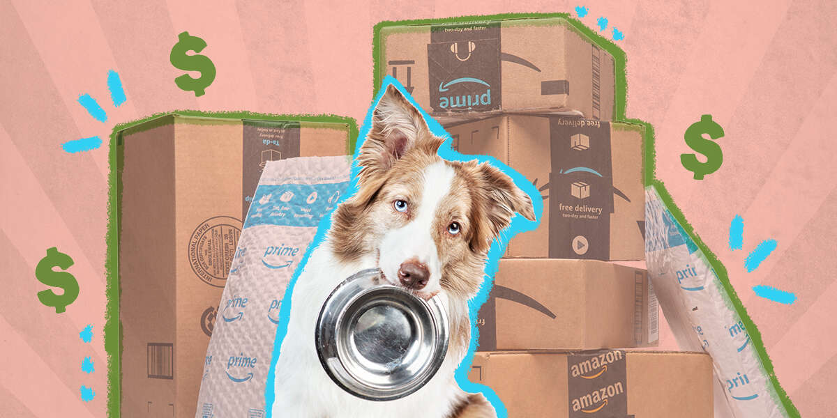 Best Amazon Prime Day Dog Supplements Deals In 2021 DodoWell The Dodo